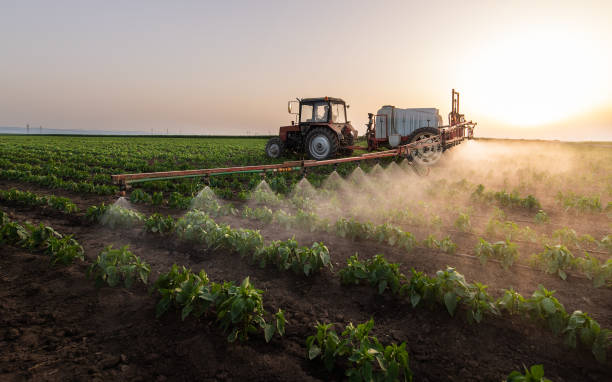 Best Best Pest Control Near Me  in Mather, CA