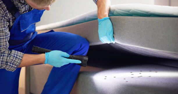 Flea Control Services in Mather, CA