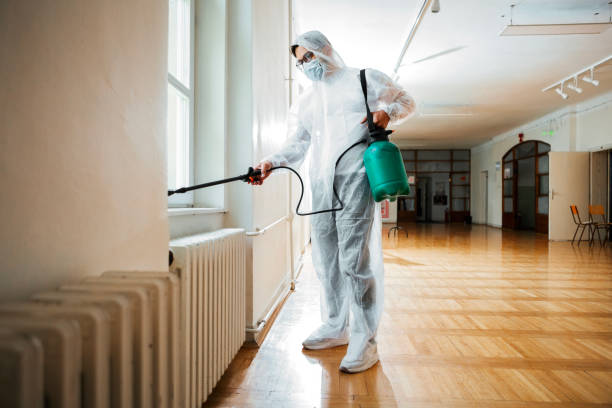 Best Rat Extermination Near Me  in Mather, CA