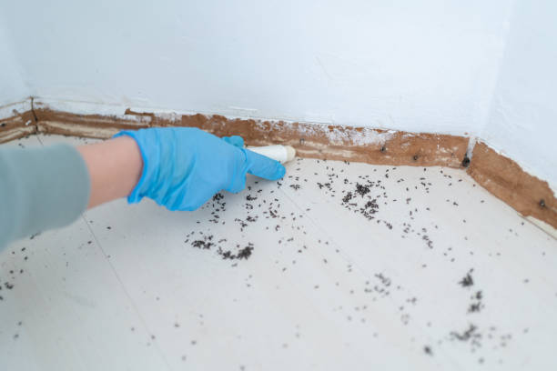 Mather, CA Pest Control Company